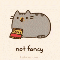 Fancy pusheen outlet