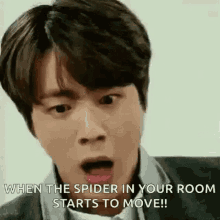 Spiders Are Evil Muahaha GIF - Spiders Are Evil Muahaha Spiders GIFs