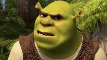 shrek from the animated film shrek is looking at the camera