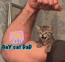 a cat is sitting on a man 's arm with the words stay cool gay cat dad written on it