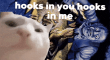a picture of a cat with the words hooks in you hooks in me on the bottom