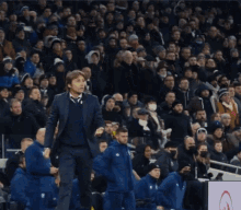 Antonio Conte Tottenham Hotspur GIF - Antonio Conte Tottenham Hotspur Conte GIFs