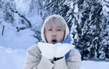 Snow Fairy Seongho Junseongho GIF - Snow Fairy Seongho Junseongho Seongho GIFs