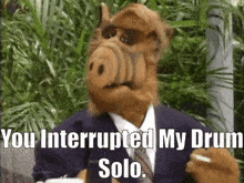 Alf Drum Solo GIF - Alf Drum Solo You Interrupted My Drum Solo GIFs