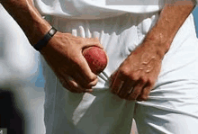Cricket Spit Ball GIF - Cricket Spit Ball GIFs