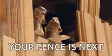 two meerkats are standing on top of a wooden fence with the words `` your fence is next '' written above them .