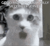 Silly Billy Server Yuze GIF - Silly Billy Server Silly Billy Yuze GIFs