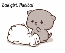 a cartoon of two cats fighting each other with the words `` bad girl , habiba '' .
