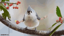 Birds With Arms Ping Pong GIF