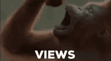 Views Viewsln GIF - Views Viewsln 6views GIFs