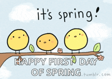 Happy First Day Of Spring Birds GIF