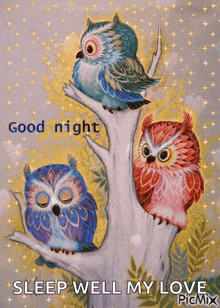 good night owl sleepy tree leaf