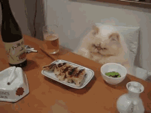 Please, Sit Down. GIF - Cat Meal Mean GIFs