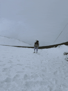 a person standing on a snowy hill with a gray sky in the background