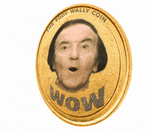wowguy eddy wally wowguy the eddy wally coin crypto coin