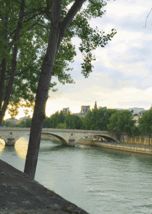 Seine Seine River GIF