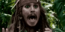 Captain Sparrow Shocked GIF - Captain Sparrow Shocked Shouting GIFs