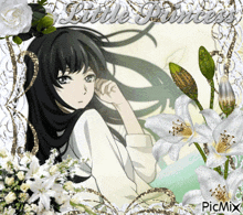 a picture of a girl with the words little princess written on it