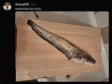 a picture of a fish on a wooden cutting board with zyna230 written in the corner