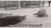 a black and white photo of a seal with russian writing on the bottom