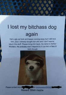 a paper with a picture of a dog and the words i lost my bitchass dog again