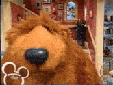 Bear In The Big Blue House What'S That Smell GIF - Bear In The Big Blue House What'S That Smell Bear GIFs