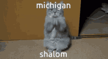 Michigan Shalom GIF