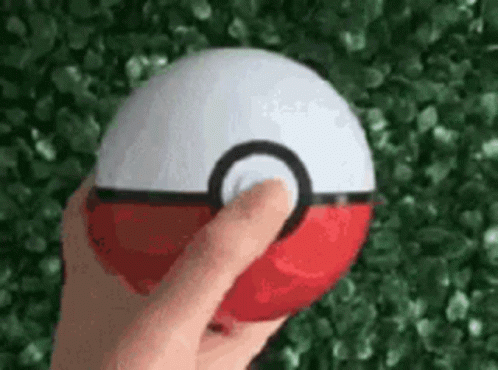 pokeball / funny posts, pictures and gifs on JoyReactor