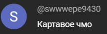 a blue circle with a white letter s inside of it