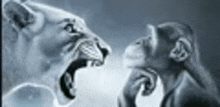 a lion and a monkey are standing next to each other and looking at each other .