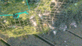 a sprinkler is spraying water on a green plant