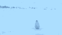 penguin running