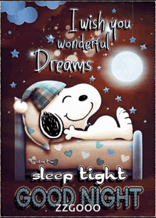 a picture of snoopy laying in a bed with the words " i wish you wonderful dreams sleep tight good night "