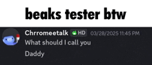 a screenshot of a discord conversation between beaks tester and chromeetalk