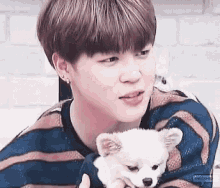 a close up of a person holding a small white dog .