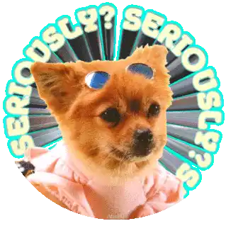 Seriously Gif Funny Animals Sticker - Seriously Gif Funny Animals Funny Doggy Stickers