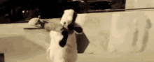 a teddy bear is holding a skateboard in its mouth