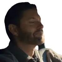 a man with a beard has his eyes closed and a shadow on his face