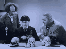 The Three Stooges Moe GIF - The Three Stooges Moe Larry GIFs