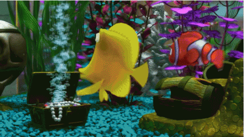 Nemo Bubbles GIF – Nemo Bubbles Aquarium – discover and share GIFs