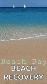 a poster for beach day beach recovery shows a sandy beach