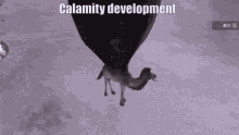 calamity development