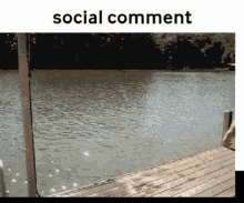 Social Comment Social GIF - Social Comment Social Society GIFs