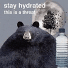 Bear This Is A Threat GIF - Bear This Is A Threat Water GIFs