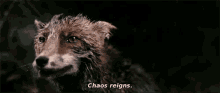 Fox Chaosreigns GIF - Fox Chaosreigns Blood GIFs