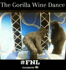 gorilla wine dance dancing fnl
