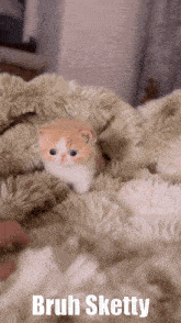 a small kitten laying on a fluffy blanket with bruh sketty written on the bottom