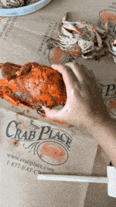a person is holding a crab in front of a crab place bag