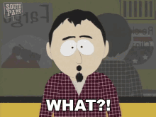 What South Park GIF - What South Park Huh GIFs