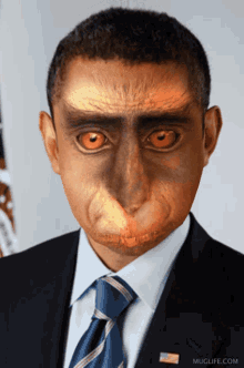 Barack Obama Gibbon GIF - Barack Obama Gibbon President - Discover & Share  GIFs